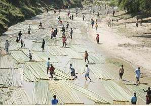 bamboo transport, karaphuli river