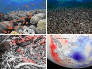 overexploitation of their populations and warming of their environments