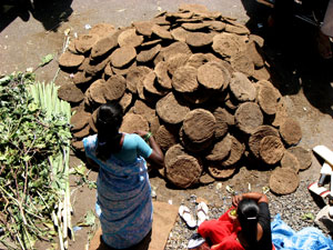cow dung is used as fuel 