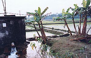 Deep well at comilla, highly arsenic contaminated