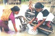 women- carrying contaminated flood water