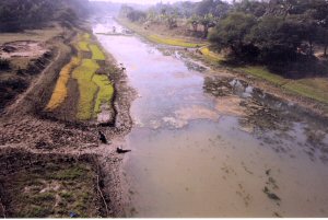 Dead Kumar river