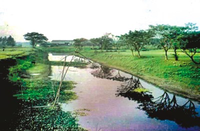 polluted river