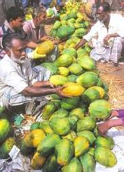 poisoned fruit at sell