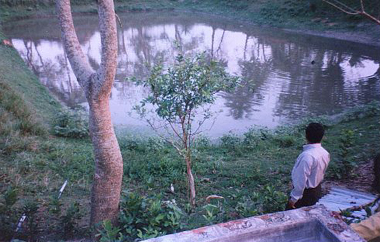 Failed PSF-Faridpur