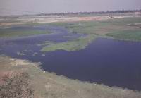 synthetic dye polluting water- Dhaka
